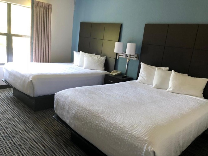 1 Bedroom Suite