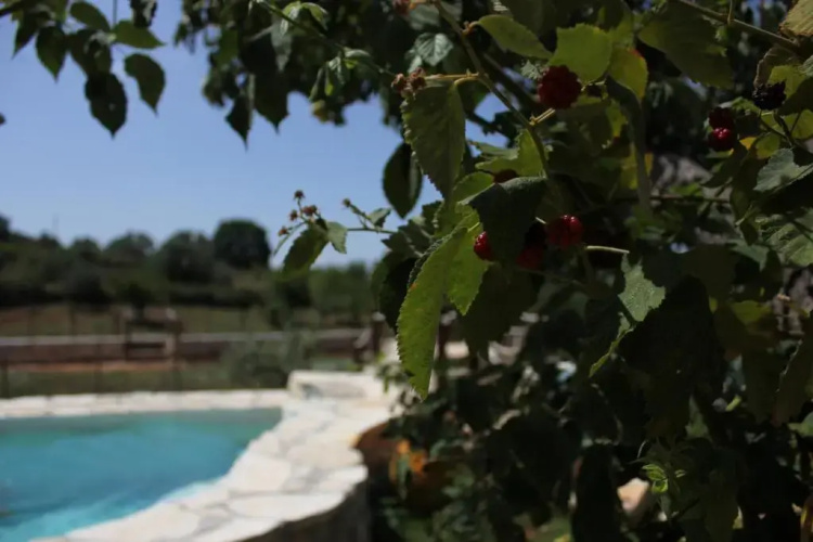 Il Trullo del Contadino