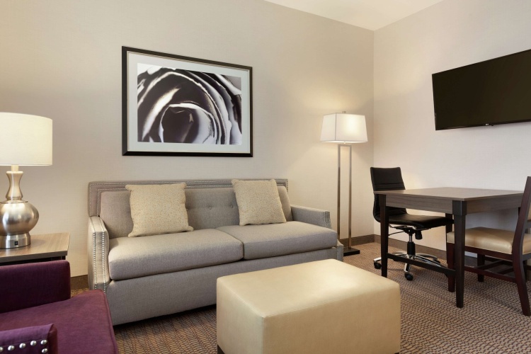 Embassy Suites by Hilton Temecula Valley Wine Country photo 6