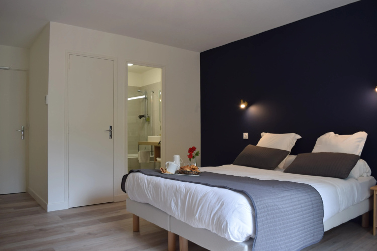 Hôtel et Appartements Les Platanes