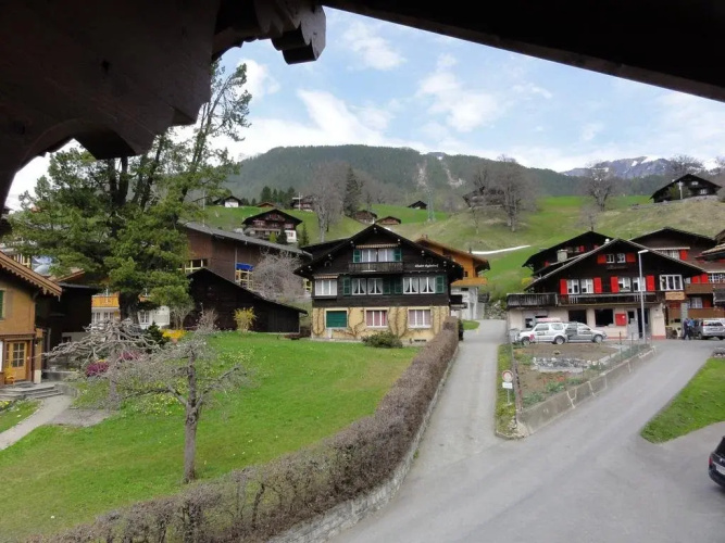 Hotel Steinbock