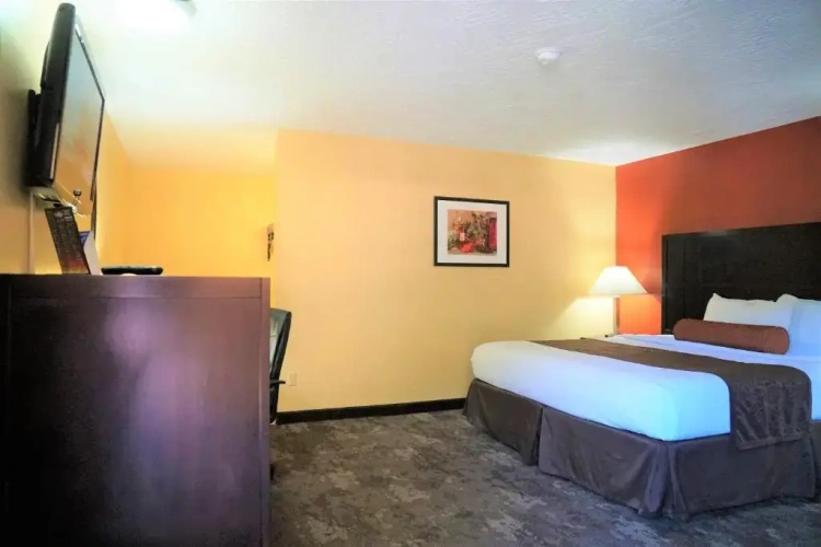 Standard Double room