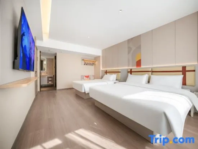 Single Suite