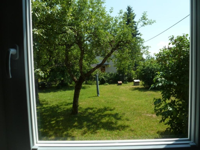 Outside