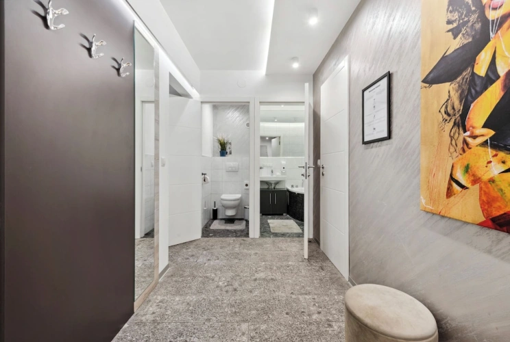 Deluxe Apartment