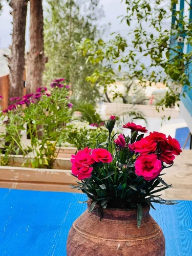 1 Bedroom Comfort Suite with balcony and with partial sea view