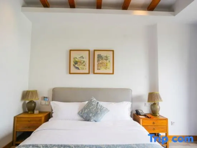 Standard Double room with lake view