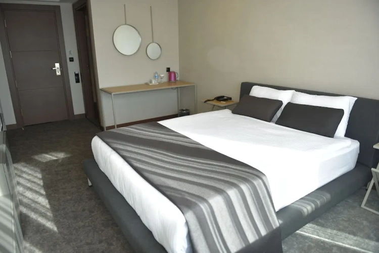 1 Bedroom Standard Double room