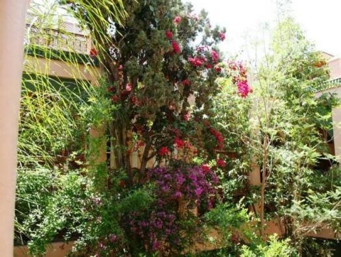 Riad Zouina