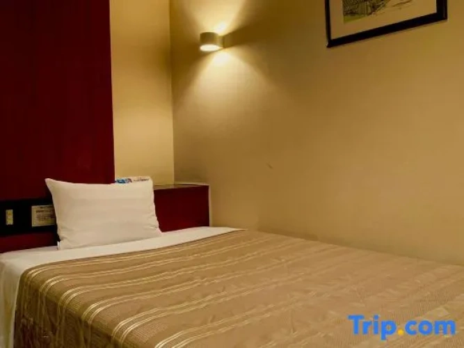 Standard Single room with city view