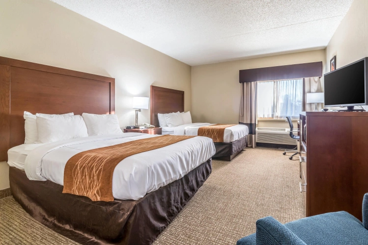 Standard Quadruple room