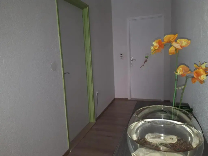 Apartment Ruzmarin