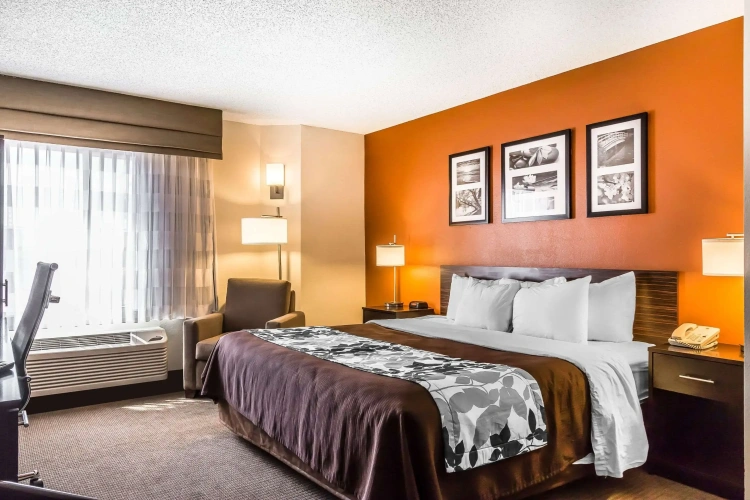 Standard Double room