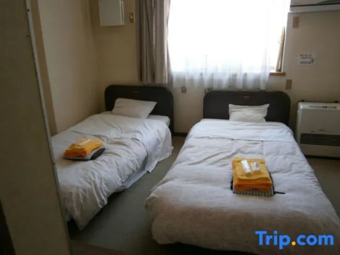 Standard Twin room with city view