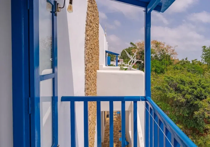 Deluxe Double room with pool view