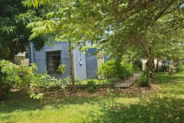 Maggie Rest House