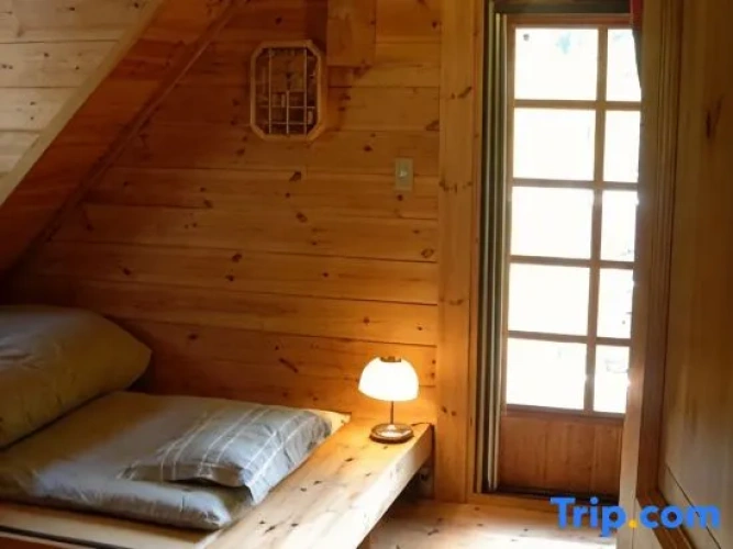 Bed in Dorm