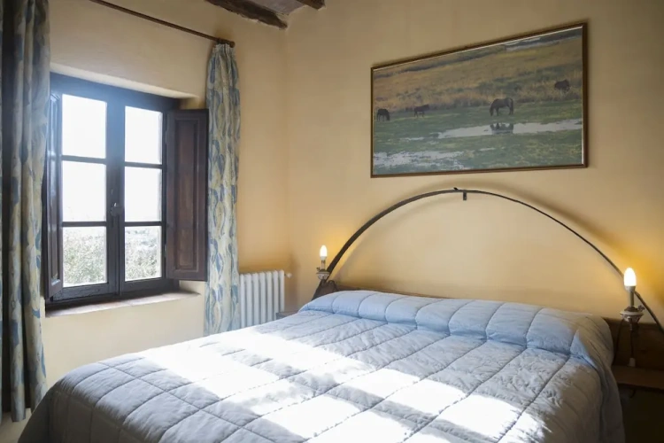 1 Bedroom Standard Apartment