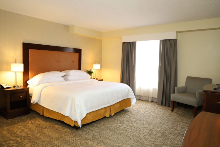 Embassy Suites by Hilton Nashville at Vanderbilt photo 7
