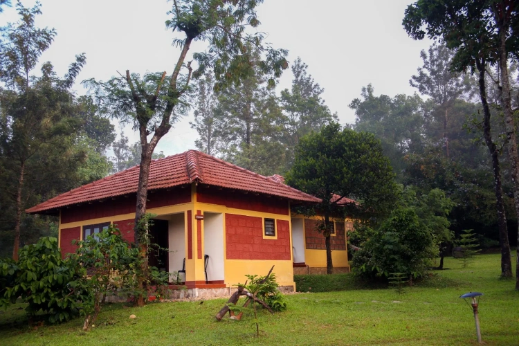Premium Double Villa with view