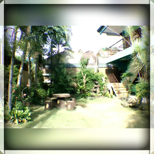 Willy's Pension House