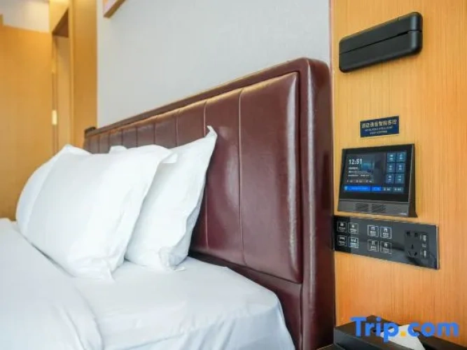 Business Double room with street view