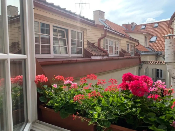 1 Bedroom Apartment