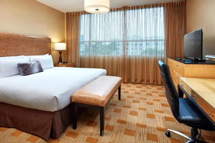 Executive Double room
