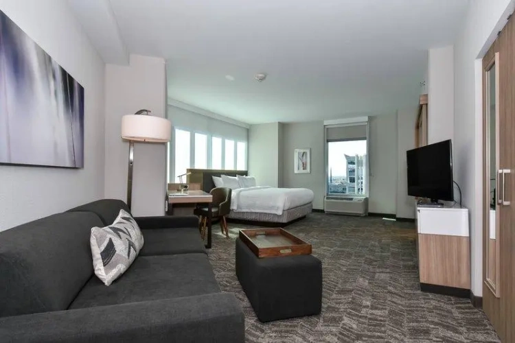 Single Suite