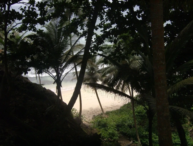 Bungalow beachfront