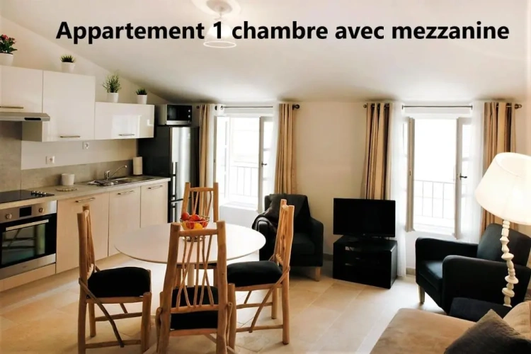 1 Bedroom Attic Apartment