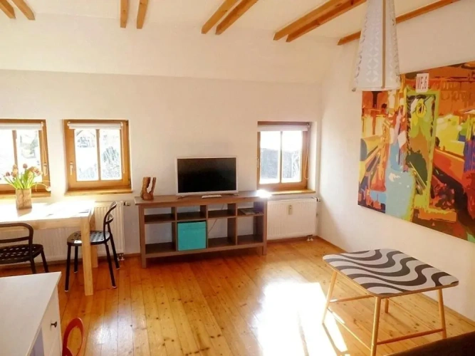 Duplex Apartment