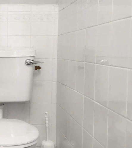 Standard Single room with view