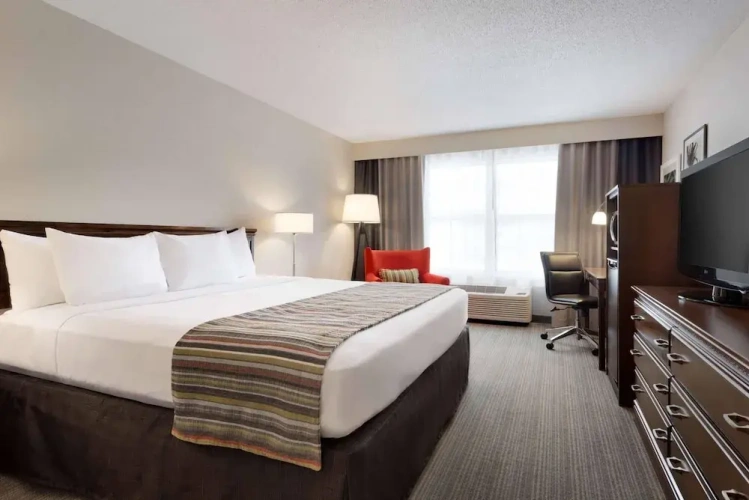 Standard Double room