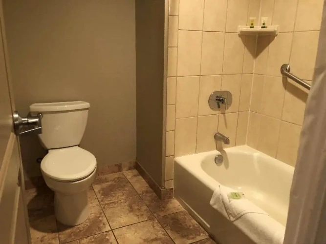 Executive Quadruple Suite
