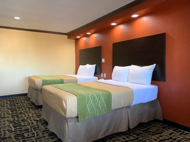 Standard Quadruple room