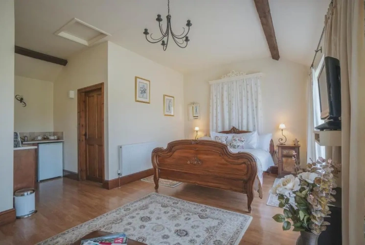 Deluxe Double room with view