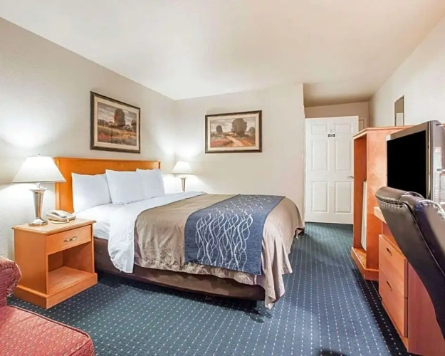 1 Bedroom Single Suite