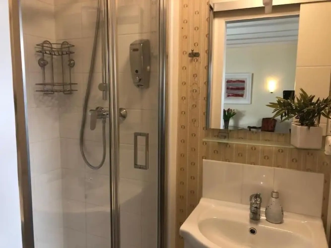 Standard Double room with river view
