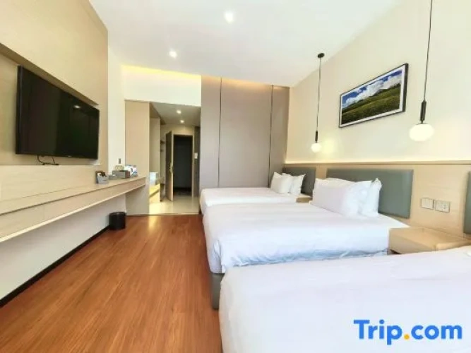 Deluxe Triple room