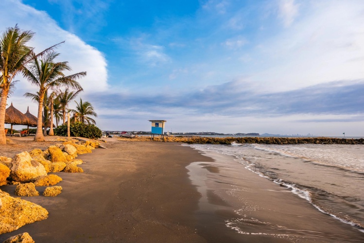 Dreams Karibana Cartagena Beach & Golf Resort photo 35