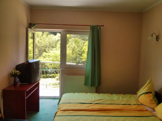 Standard Twin room with balcony and with view