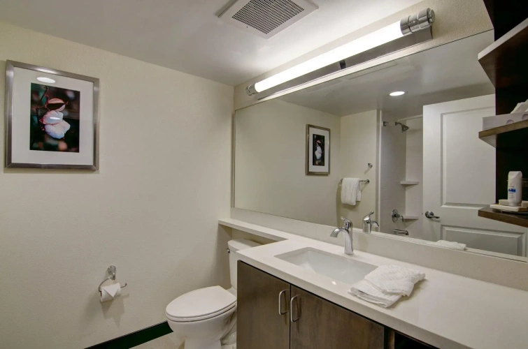 1 Bedroom Quadruple Suite