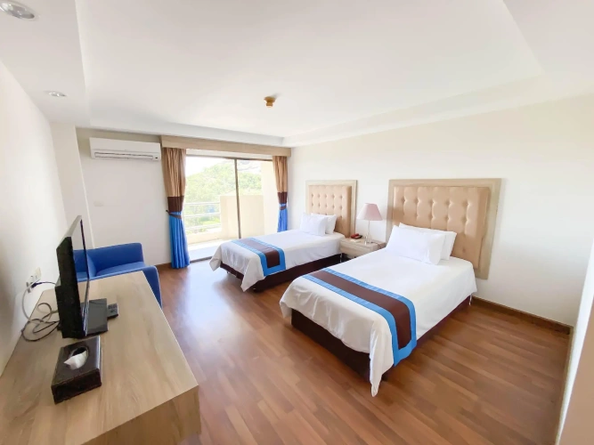 Deluxe Twin room