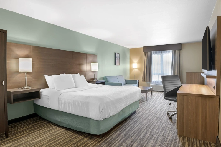 Standard Double room