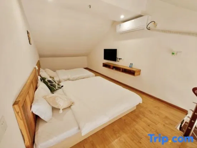 Standard Twin Family room