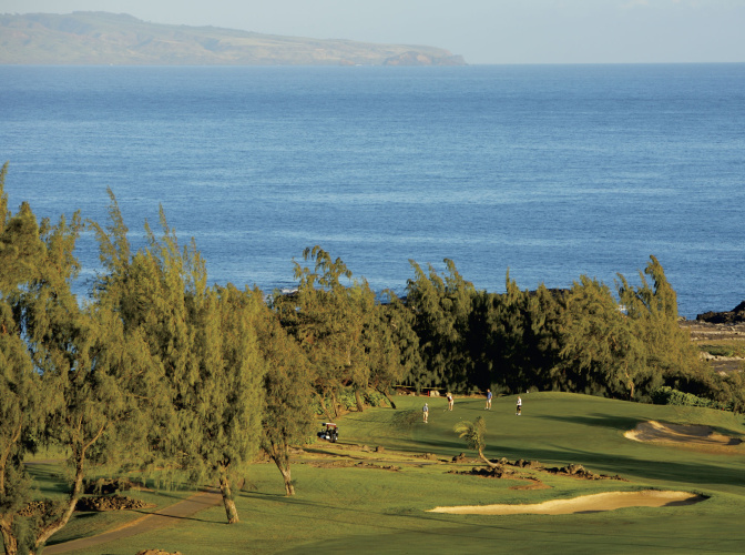 The Ritz-Carlton Maui, Kapalua photo 35