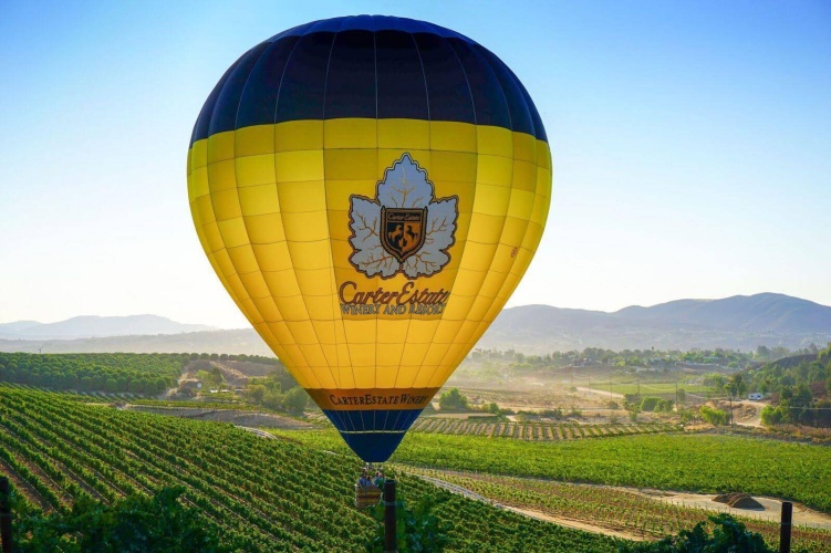 Carter Estate Winery And Resort photo 19