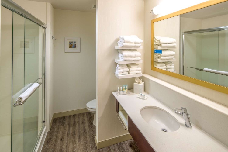 Hampton Inn Houston Downtown photo 10