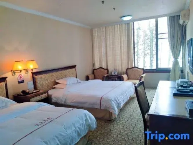 Standard Double room with lake view